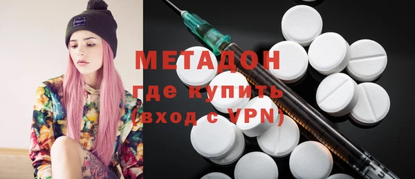 сатива Бородино