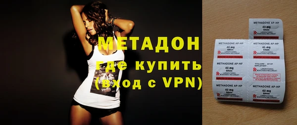 сатива Бородино