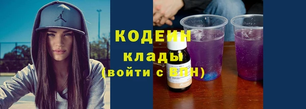 сатива Бородино