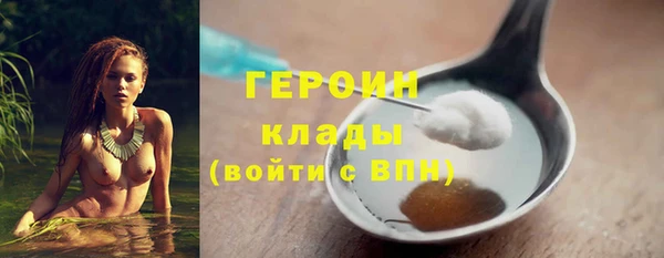 сатива Бородино