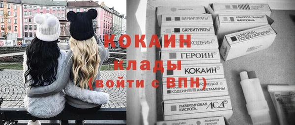 сатива Бородино