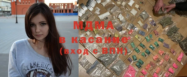 сатива Бородино
