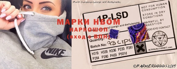 сатива Бородино
