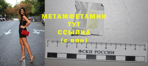 сатива Бородино