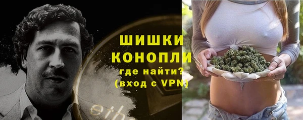 сатива Бородино