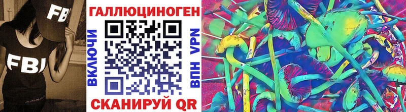 даркнет сайт  Одинцово  мега как зайти  Псилоцибиновые грибы Psilocybine cubensis 